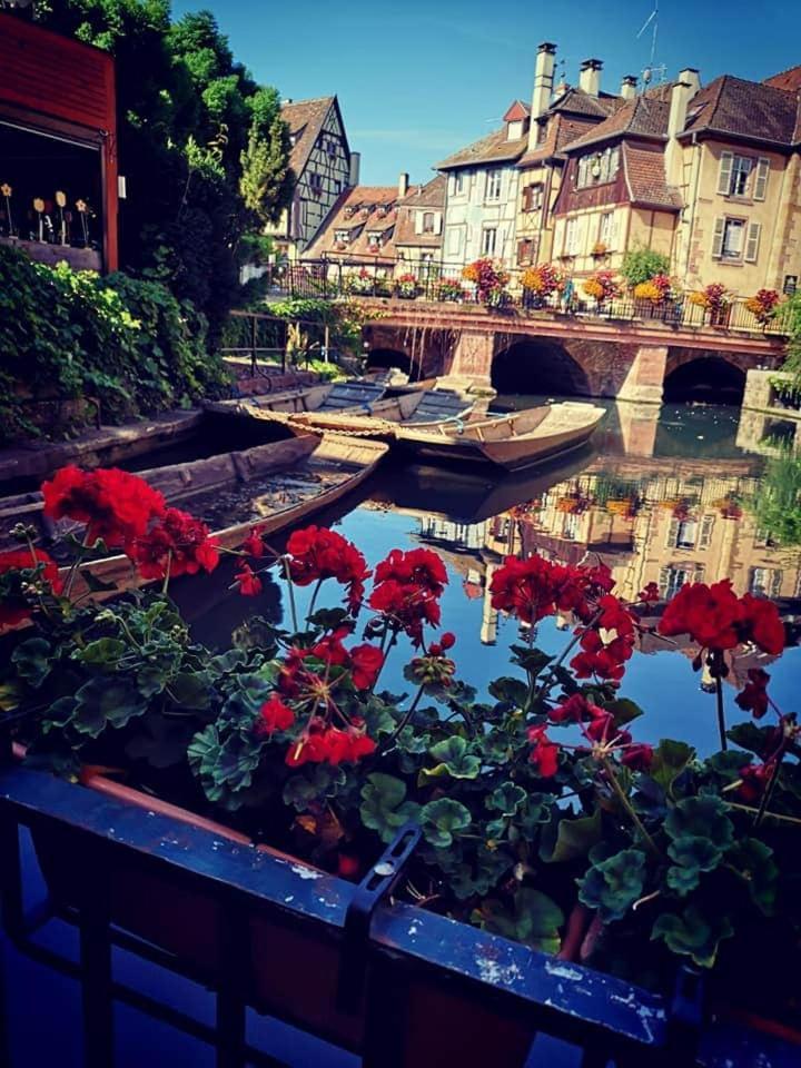 Appartement Appolon *